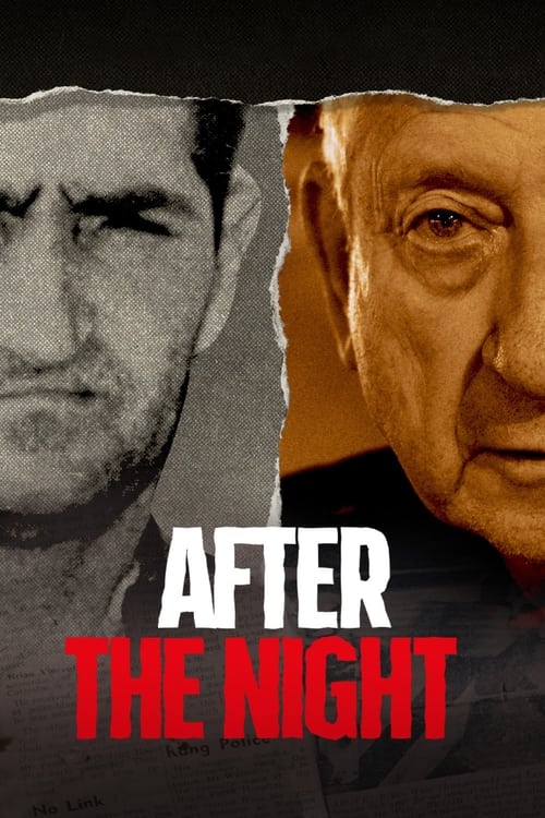 Poster della serie After the Night