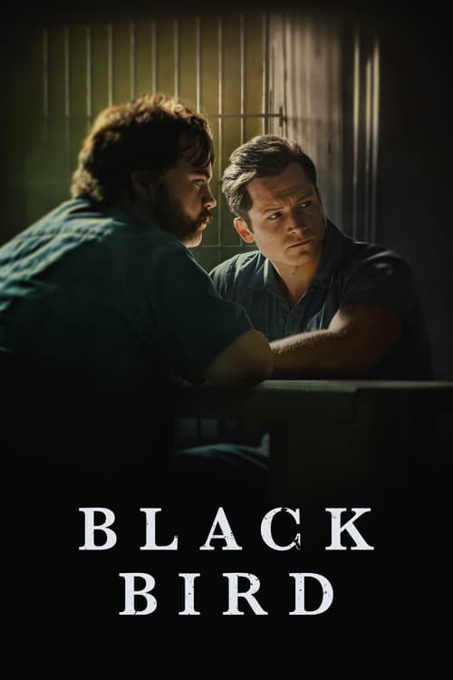 Poster della serie Black Bird