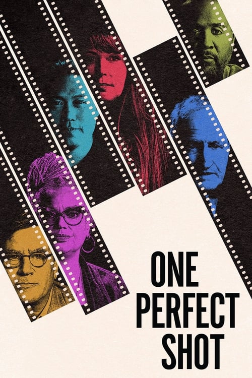 Poster della serie One Perfect Shot