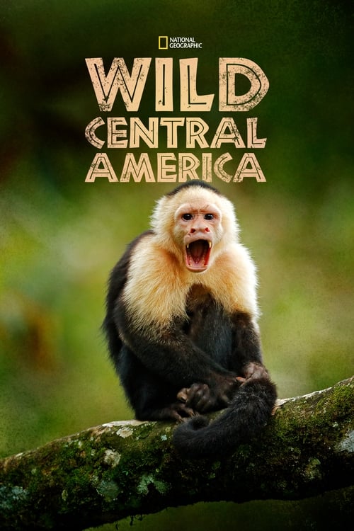 Poster della serie Wild Central America