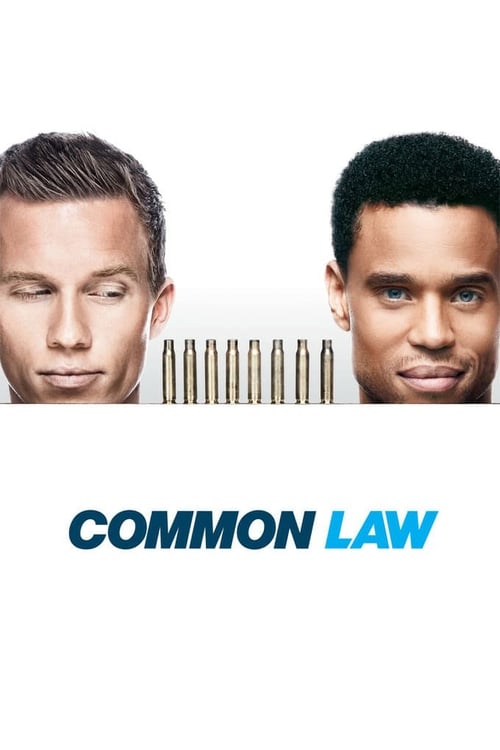 Poster della serie Common Law
