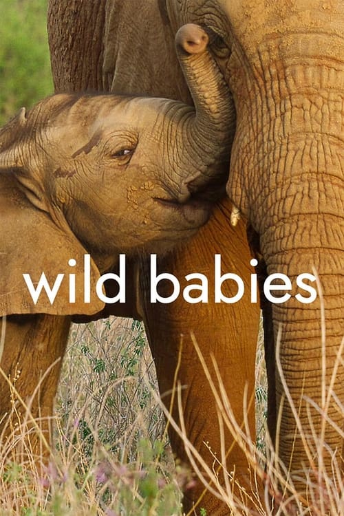 Poster della serie Wild Babies