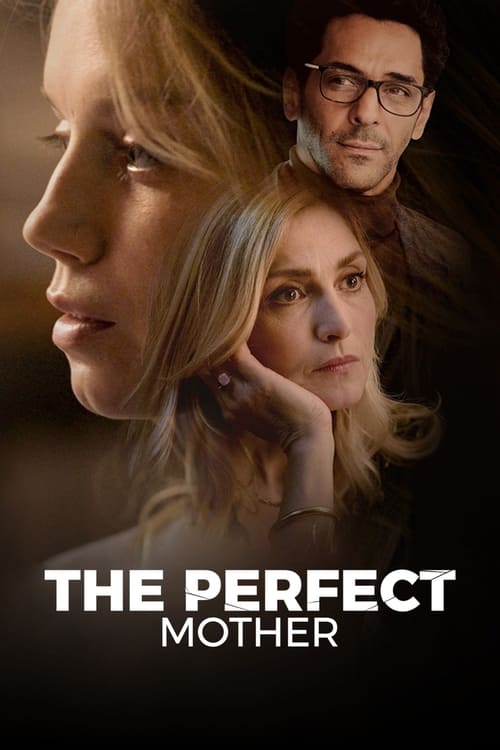Poster della serie The Perfect Mother