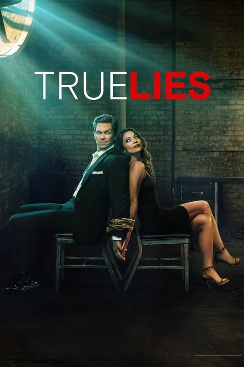 Poster della serie True Lies