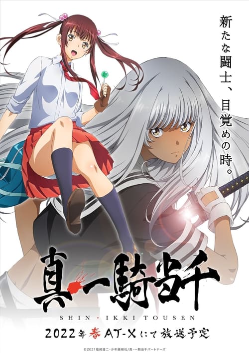 Poster della serie Shin Ikki Tousen