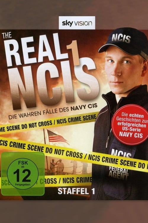 Poster della serie The Real NCIS