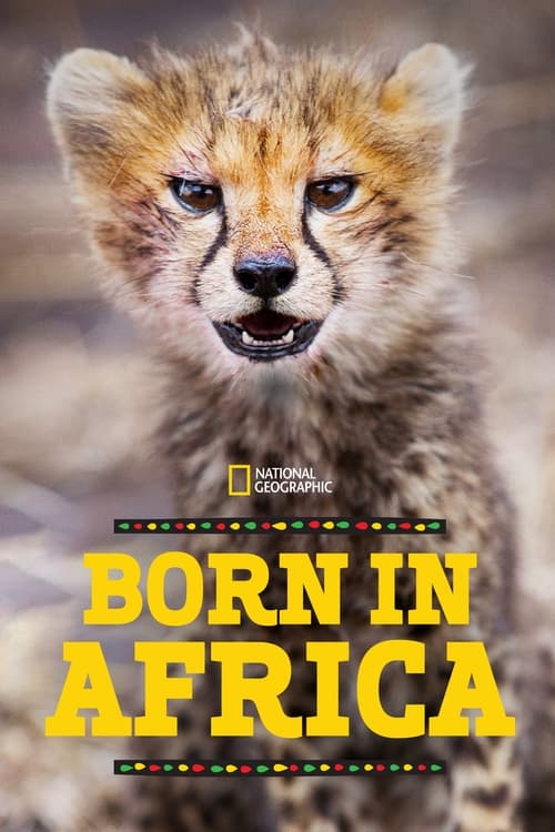 Poster della serie Born in Africa