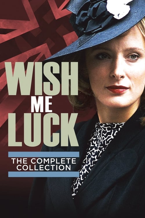 Poster della serie Wish Me Luck