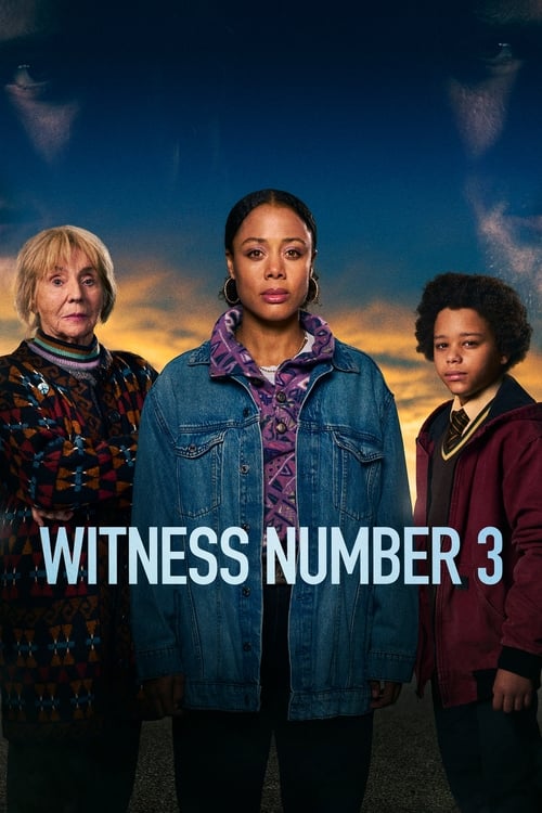 Poster della serie Witness Number 3