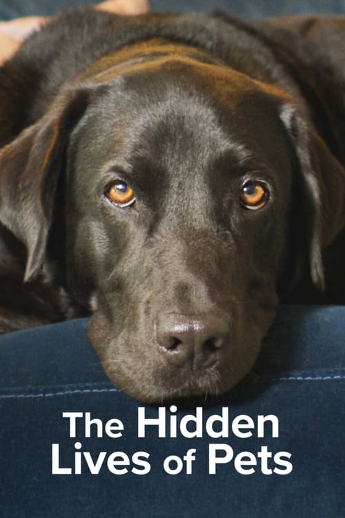 Poster della serie The Hidden Lives of Pets