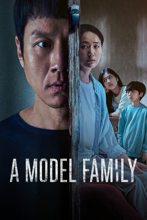 Poster della serie A Model Family
