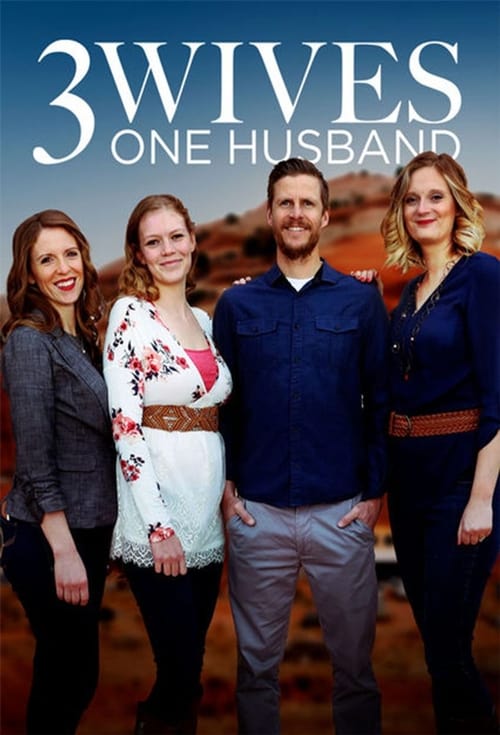 Poster della serie Three Wives, One Husband