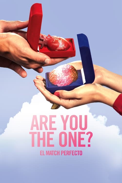 Poster della serie Are You The One? El Match Perfecto
