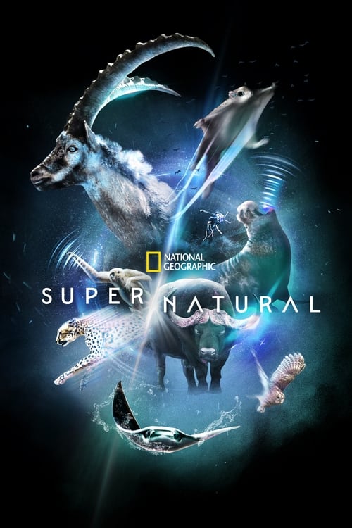 Poster della serie Super/Natural
