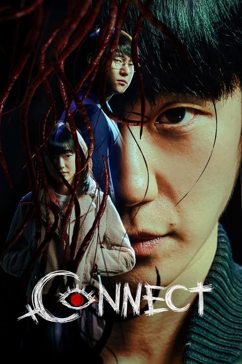 Poster della serie Connect