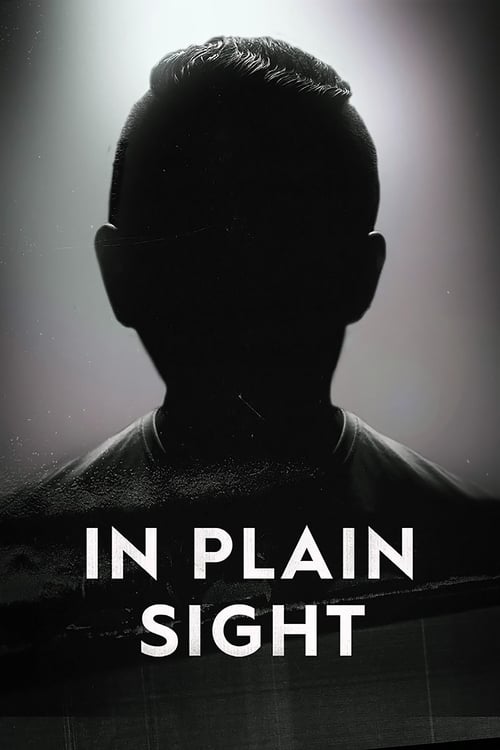 Poster della serie In Plain Sight