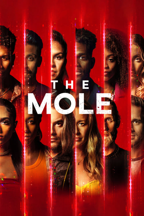 Poster della serie The Mole