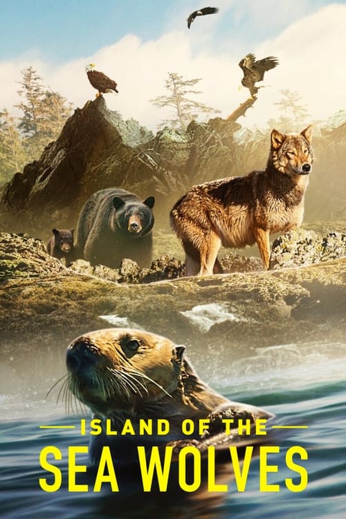 Poster della serie Island of the Sea Wolves