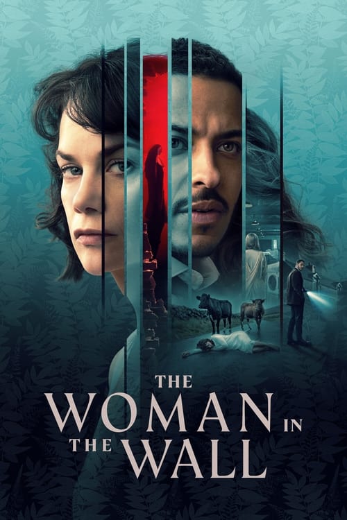 Poster della serie The Woman in the Wall