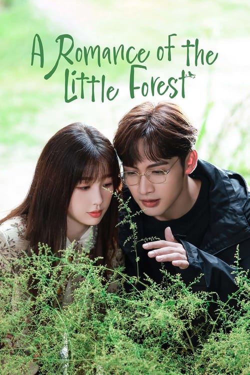 Poster della serie A Romance of the Little Forest