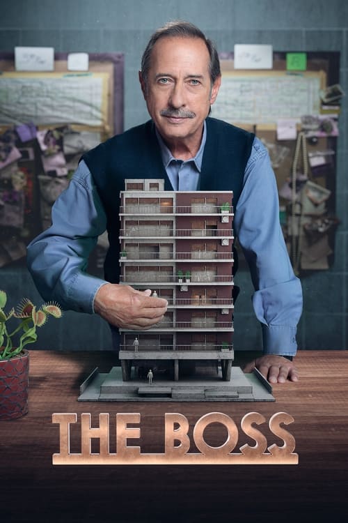 Poster della serie The Boss
