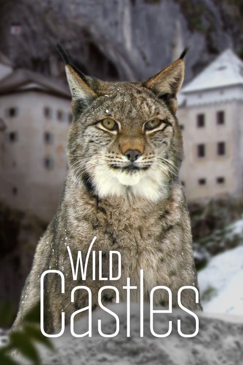 Poster della serie Wild Castles