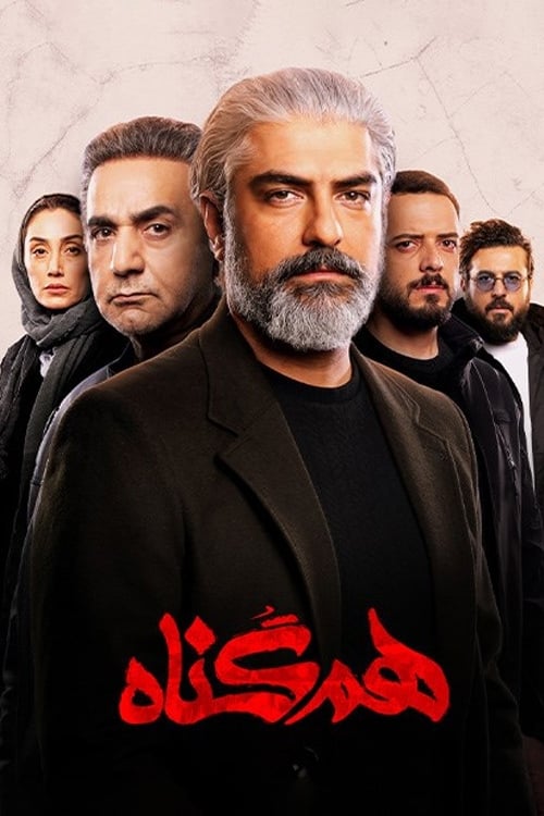 Poster della serie The Accomplice