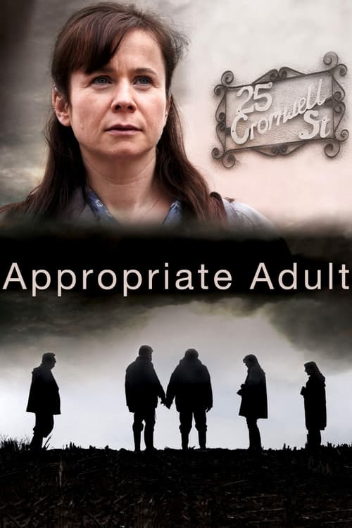 Poster della serie Appropriate Adult