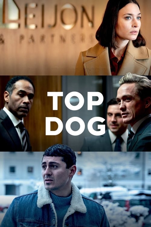 Poster della serie Top Dog