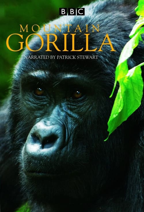 Poster della serie Mountain Gorilla