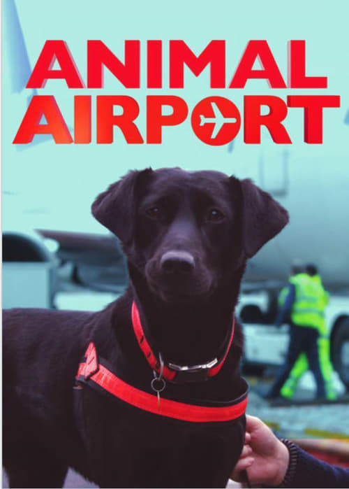 Poster della serie Animal Airport