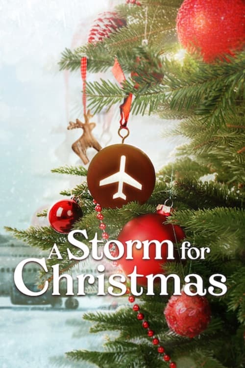 Poster della serie A Storm for Christmas