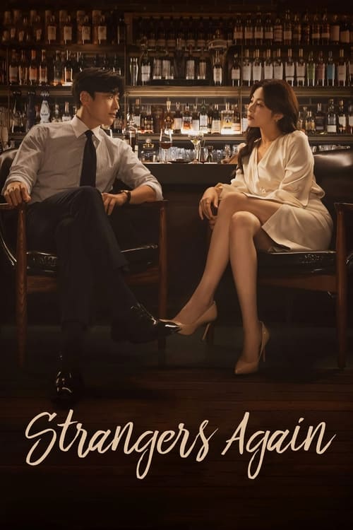 Poster della serie Strangers Again