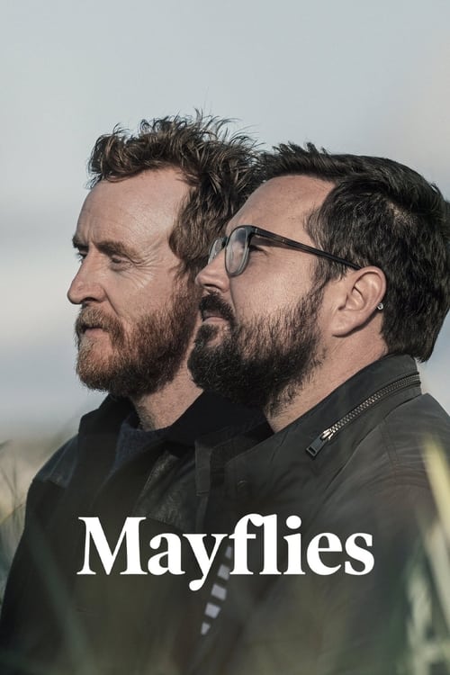 Poster della serie Mayflies