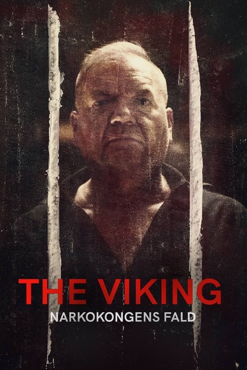 Poster della serie The Viking - Downfall of a Drug Lord