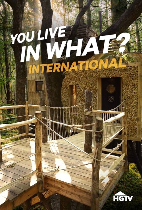 Poster della serie You Live in What? International