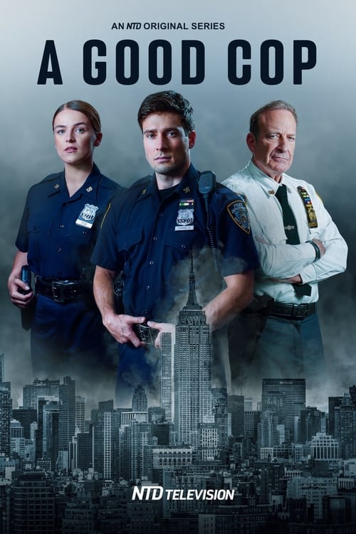 Poster della serie A Good Cop