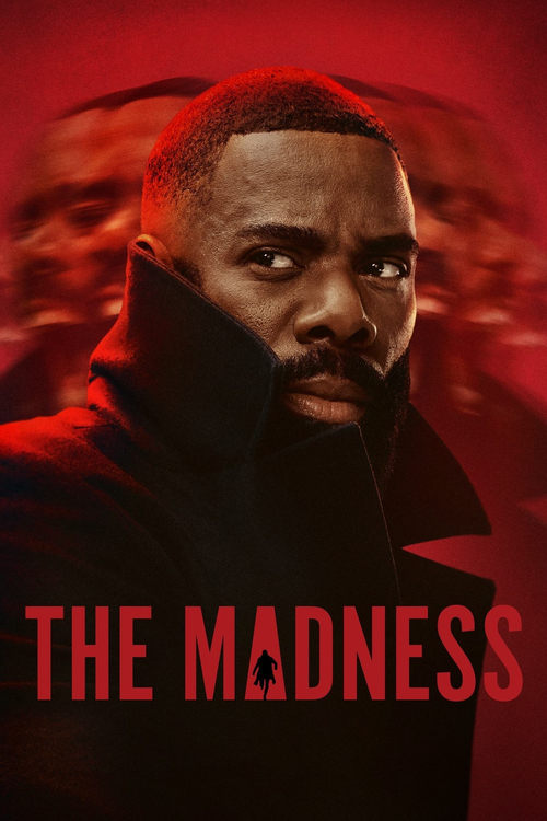 Poster della serie The Madness