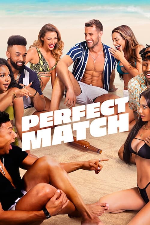 Poster della serie Perfect Match
