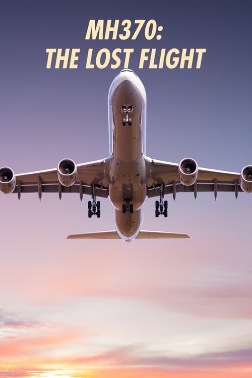 Poster della serie MH370: The Lost Flight