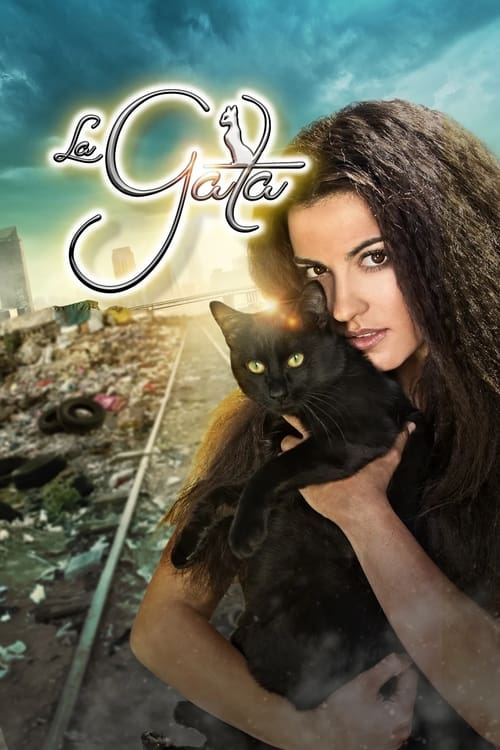 Poster della serie The Stray Cat