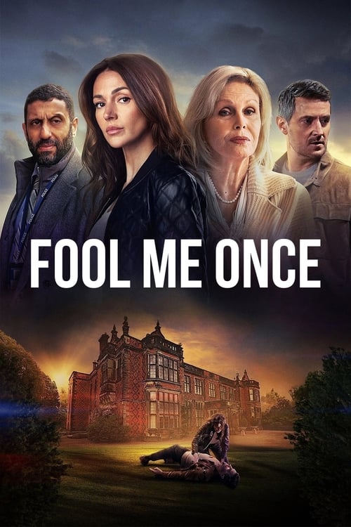 Poster della serie Fool Me Once