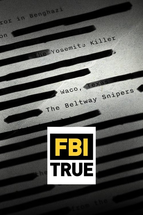 Poster della serie FBI TRUE