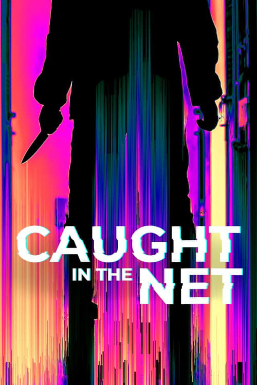 Poster della serie Caught in the Net