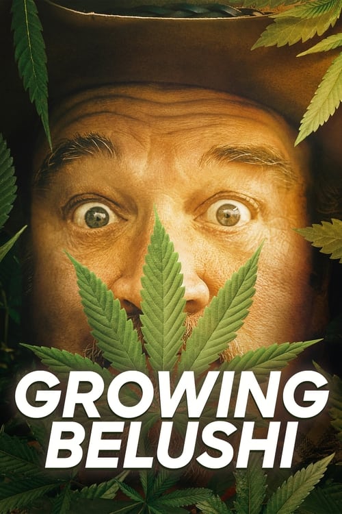 Poster della serie Growing Belushi