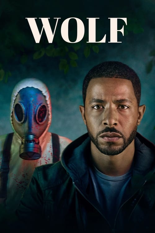 Poster della serie Wolf