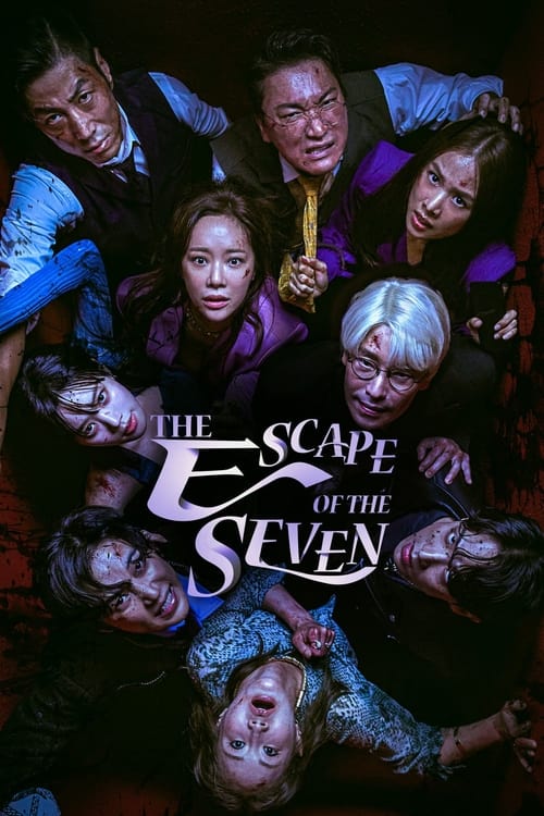 Poster della serie The Escape of the Seven
