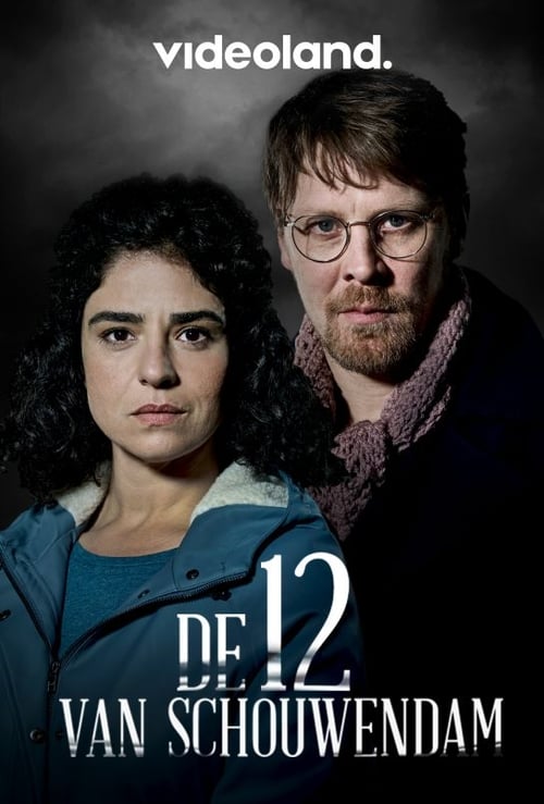 Poster della serie De 12 van Schouwendam