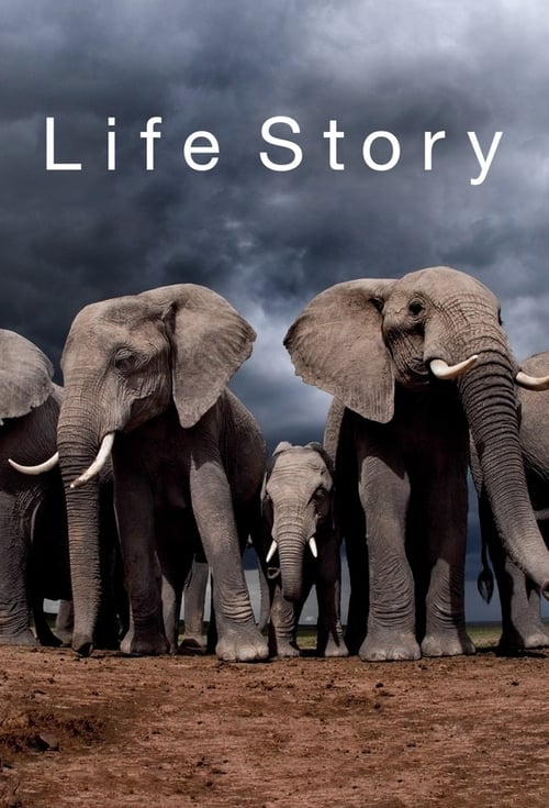 Poster della serie Life Story