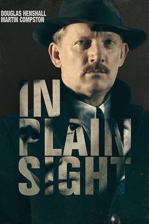 Poster della serie In Plain Sight